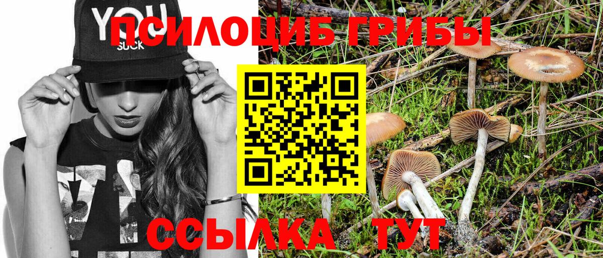 Галлюциногенные грибы ЛСД  Вход с VPN  Гай  даркнет сайт  Галлюциногенные грибы мицелий 