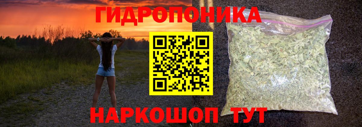 Шишки марихуана Ganja Гай